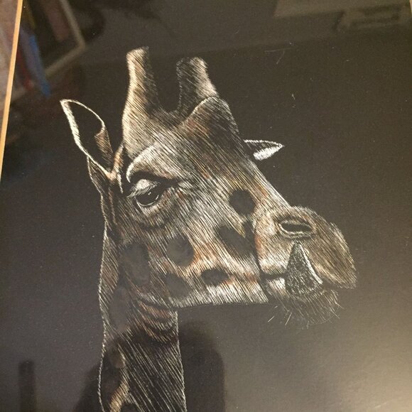 Original Scratchboard Giraffe Portrait by Carol Kehler-Hemdal (1985), Registered - Picture 3 of 14